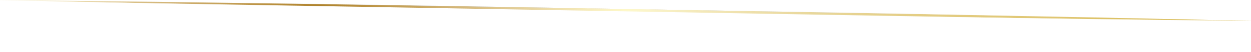 gala-divider-02